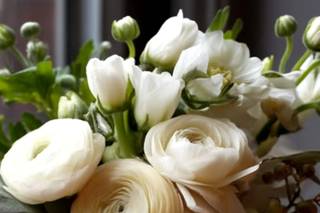 Laura Galliano Weddings - 6