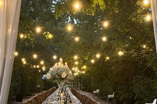 Rocco Cristello Photography - 5