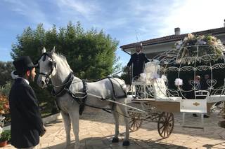 Exclusive Events Mimì - 9