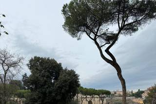 Le Spose di Michelle - 8