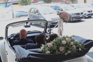 Princess Wedding Car - 7