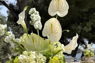 Laura Galliano Weddings - 5