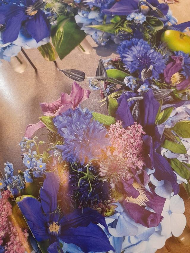 H2O Fiori - 2
