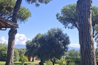 Tenuta Flaminia Domina - 7