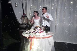 Bar Pasticceria Nando - 9