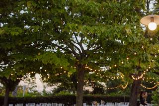 Villa Carlo Boccolini - 9