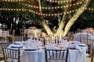 Alessandra Marrone Wedding Planner - 7