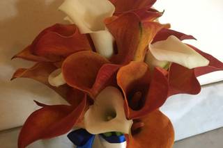 Il Giardino di Sara - 9