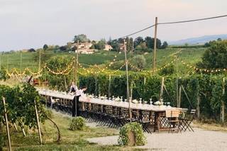 Tenuta Raffaellina - 8