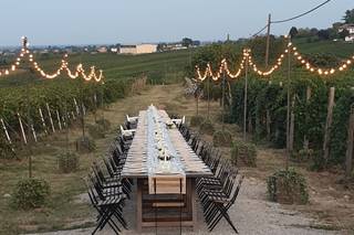 Tenuta Raffaellina - 9