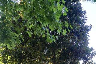 Villa Donna Giusi - 18