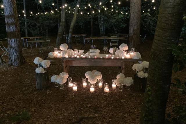 Aela Wedding 2