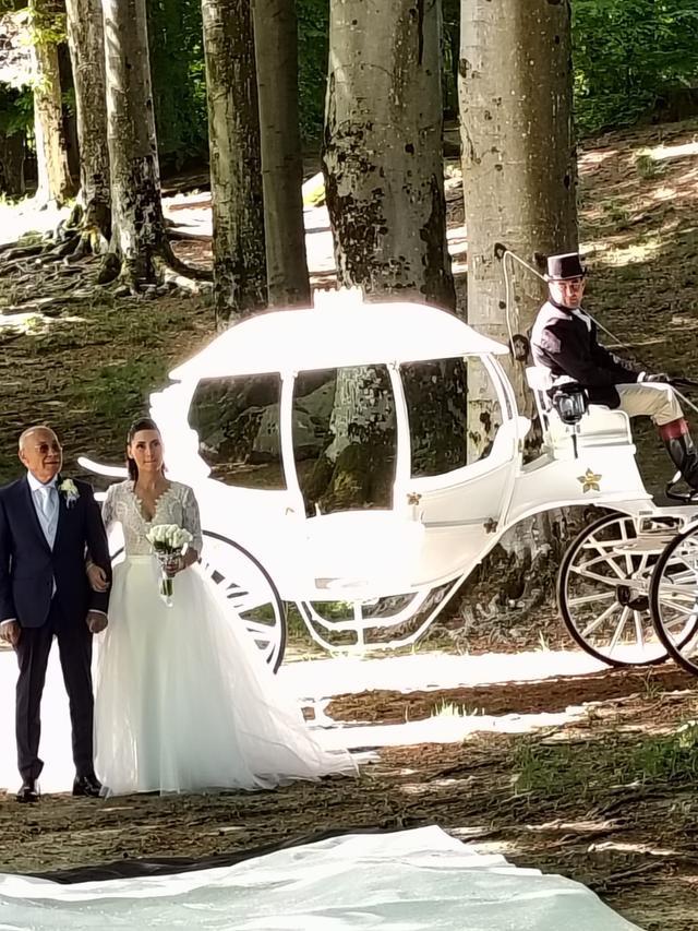 Dodo Carrozze - 2