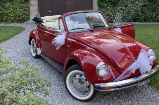 Innamorati Wedding Cars - 13