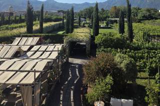 Bosco de' Medici Wine Resort - 18
