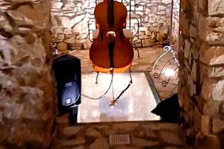 Luca Masi - Violoncellista - 5