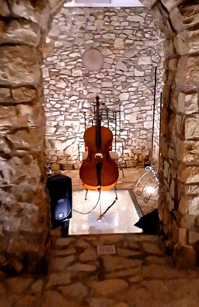 Luca Masi - Violoncellista - 4