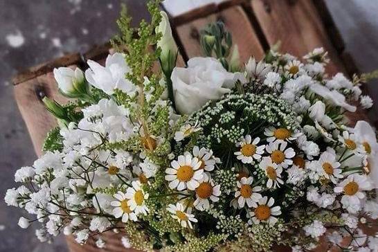 Titti Guccini Events 1