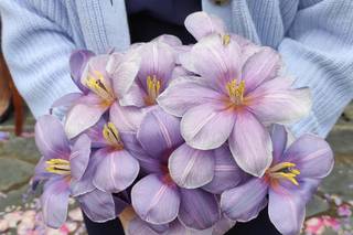 Pauline Wedding&Events - 18