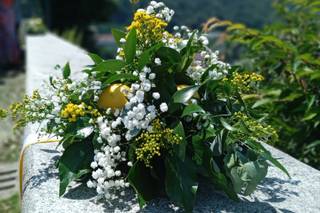 Ivan Barbiero Fiori - 11