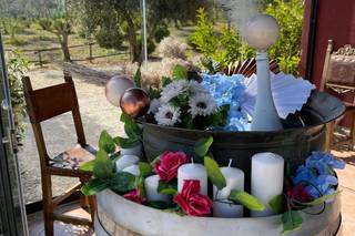 Tenuta Corte del Sole - 15