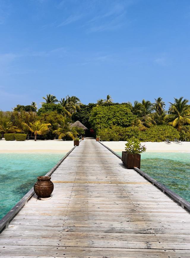 Terapia di Viaggio - 2