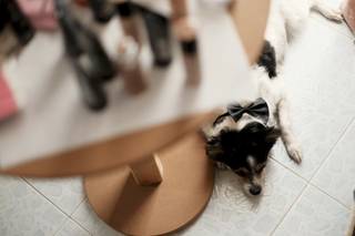 Peppe Ferreri & Sons Photographers - 5