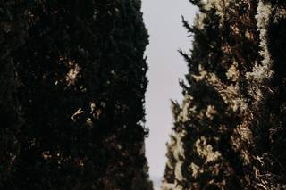 Emanuela Chiarabini Wedding & Event - 16