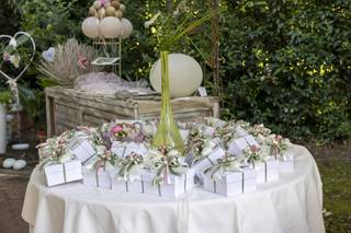 Annamaria Bortolozzo - 5