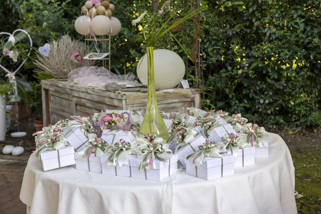 Annamaria Bortolozzo - 1