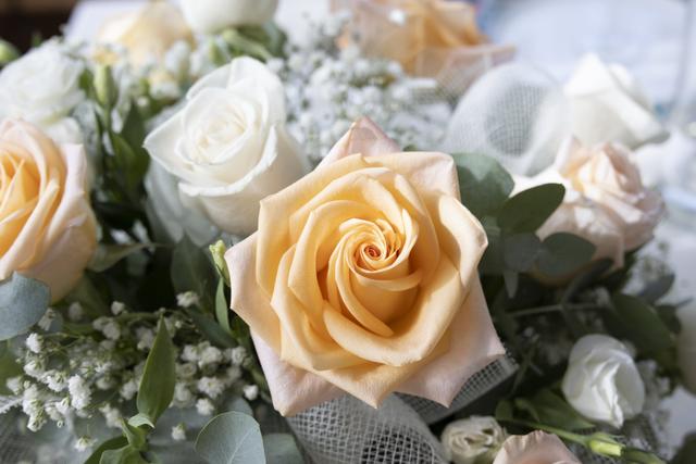 Annamaria Bortolozzo - 3