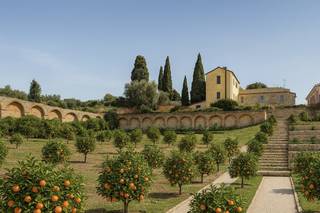 Catering Attico sul mare - 6