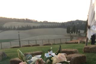 Fiorista Alessio Spagnoli - 5