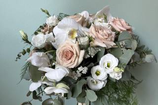 Piante e Fiori Di Franco Anna - 16