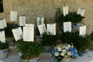 D'Armi Flor & Felix Garden - 15