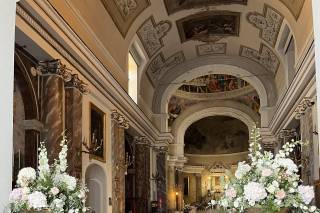 Piante e Fiori Di Franco Anna - 17
