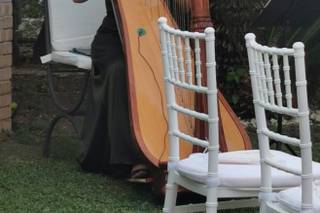 Arpista Wedding - In - 6