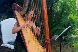 Arpista Wedding - In - 7
