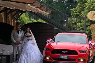 Stefano Del Quarto - Noleggio Mustang - 29