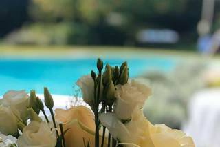 Il Paradiso dei Fiori - 22