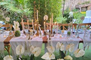 La Locanda del Cavaliere - 6