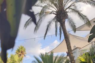 Farenella Fiori - 14