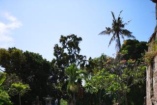 Gila Travel Specialist - 6