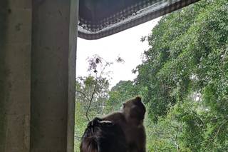 Gila Travel Specialist - 7