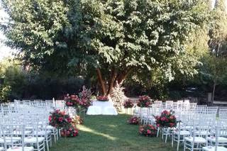 Fiori & Co di stefano marini - 5