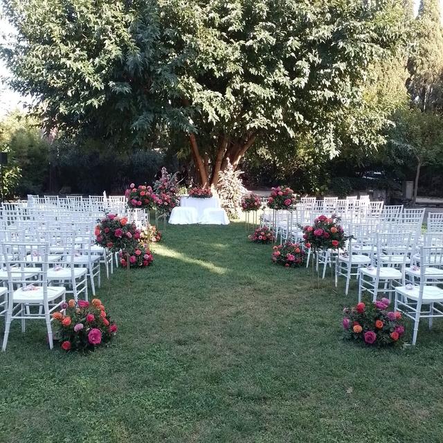 Fiori & Co di stefano marini - 1