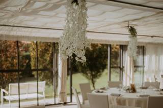 Barman Acrobatici by Flair Flow - 9