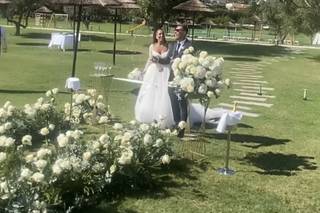 Il banco dei fiori - 7