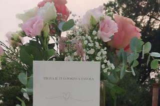 Iria Cipolla - 6
