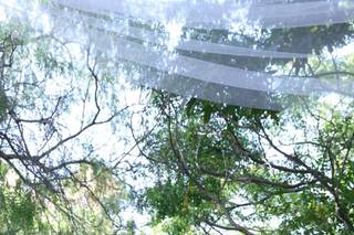 Dimore del Valentino - 5